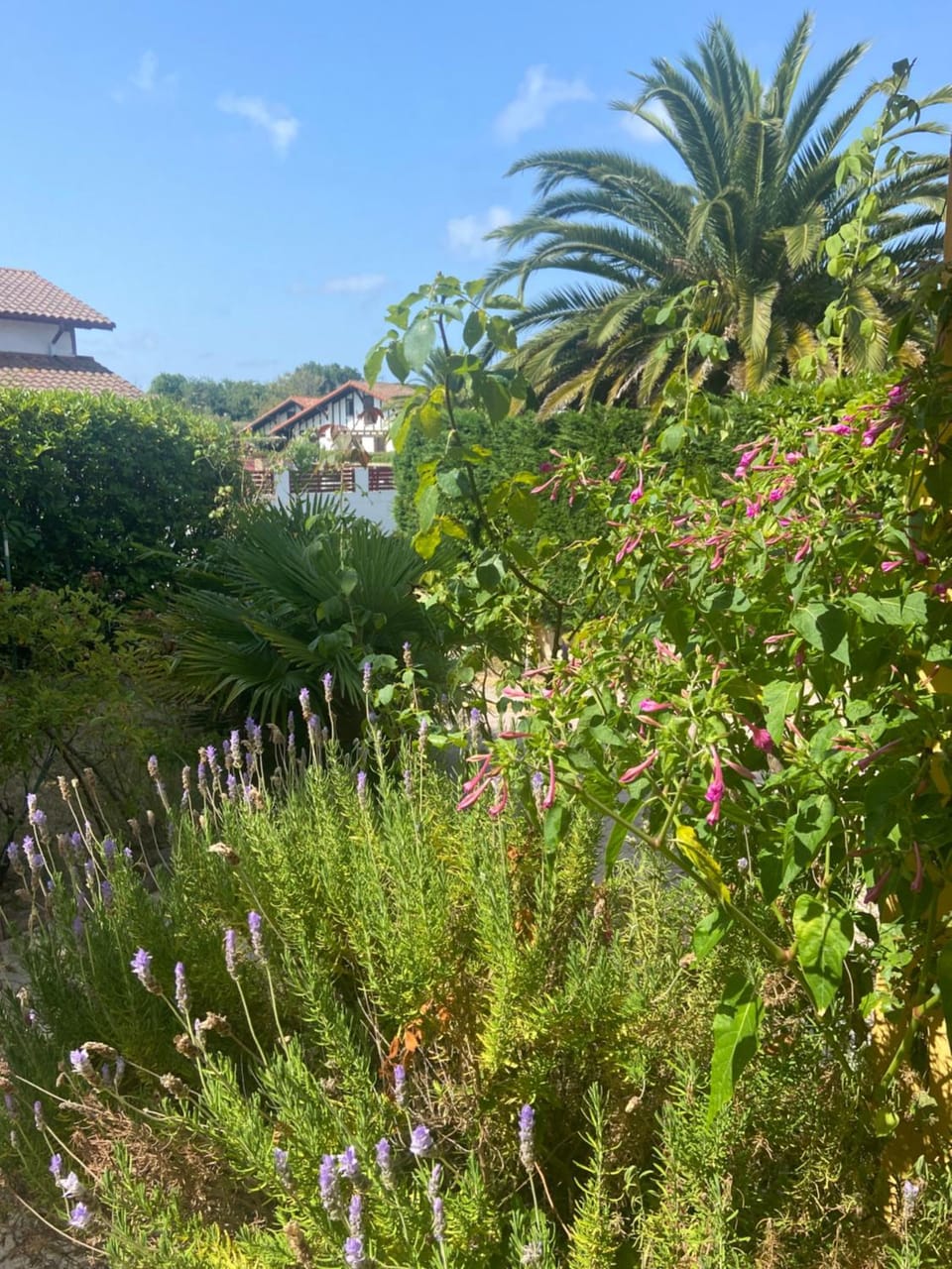 Garden, Garden view