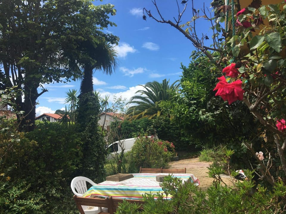 Spring, Natural landscape, Garden, Garden view