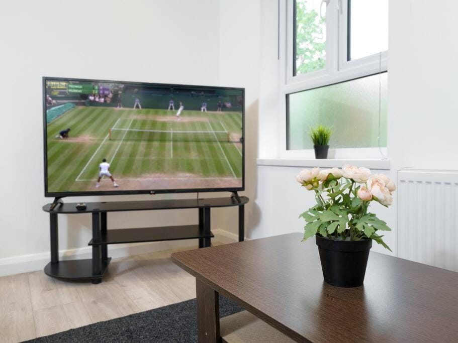 TV and multimedia