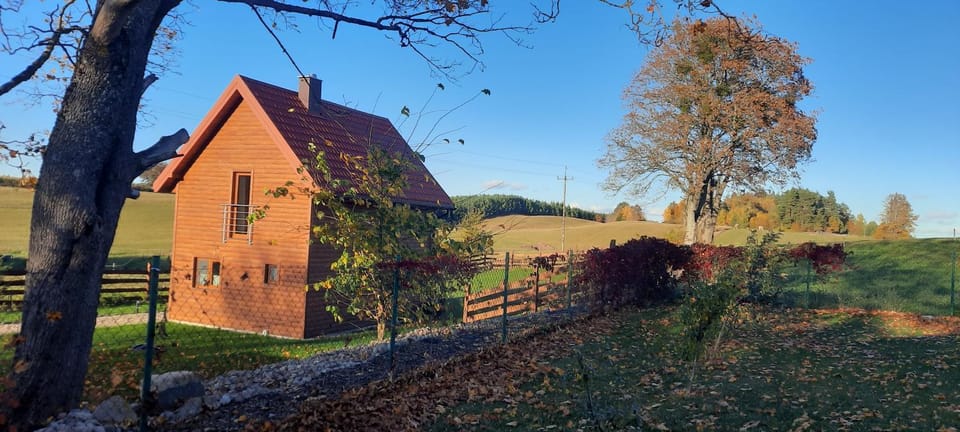 Garden, Autumn
