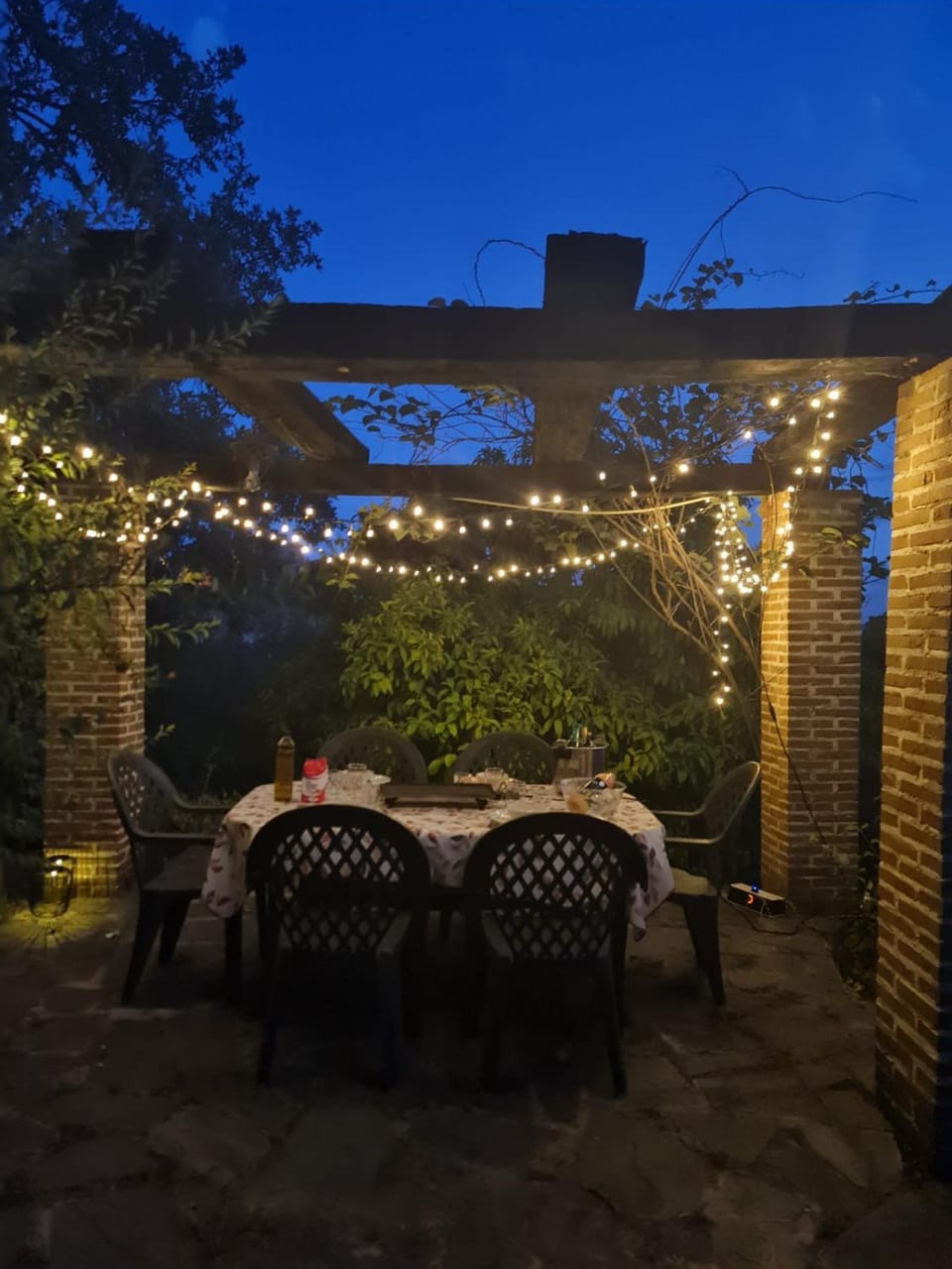 Patio, Night, Garden, Dining area, Garden view