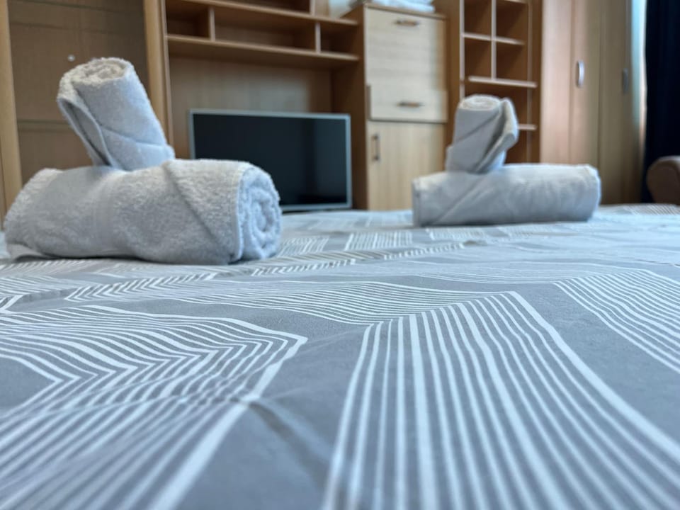 Piccolino Apartment in Novi Sad