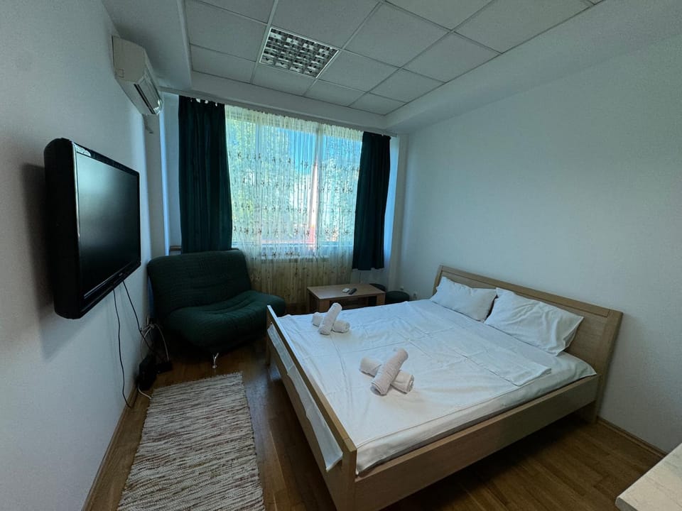 Piccolino Apartment in Novi Sad
