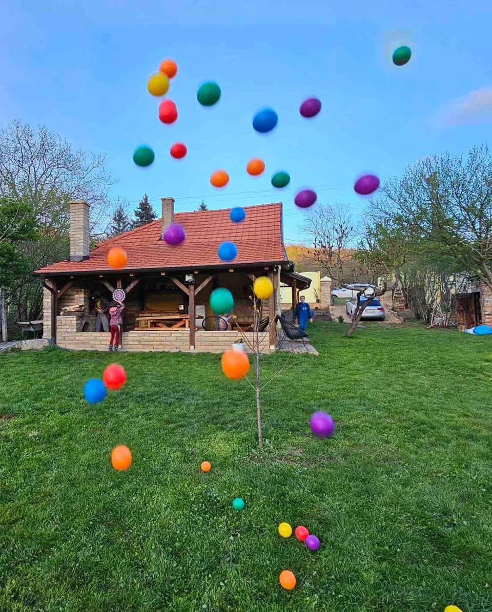 Fruška house House in Vojvodina