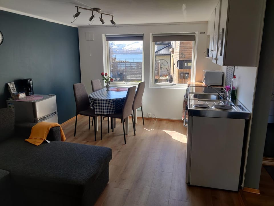 FeelHome small 1 bedroom apartment Polar vegen Apartment in Tromso