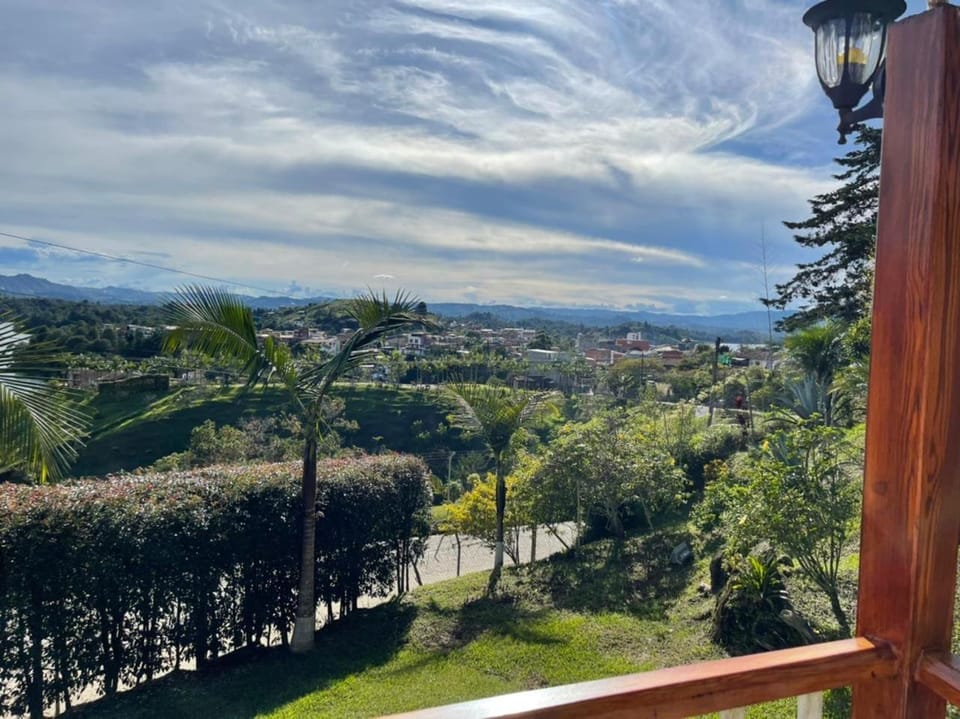 City view, Garden view