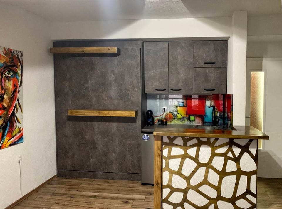 Puro Urban Apartment in Ohrid