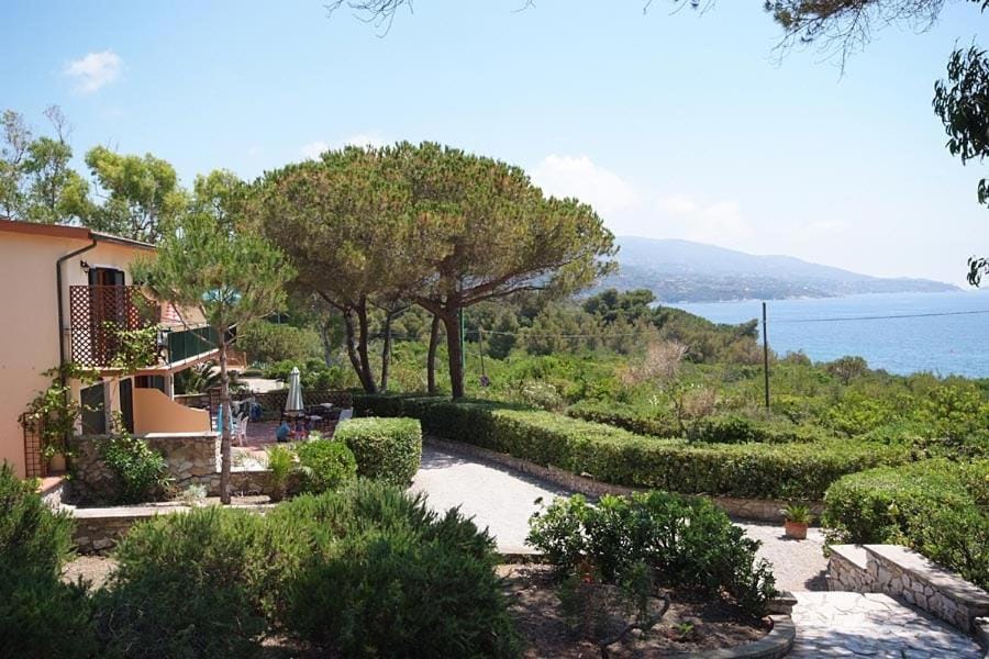 View (from property/room)