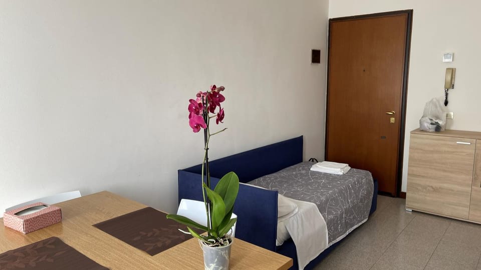 Bed, Living room