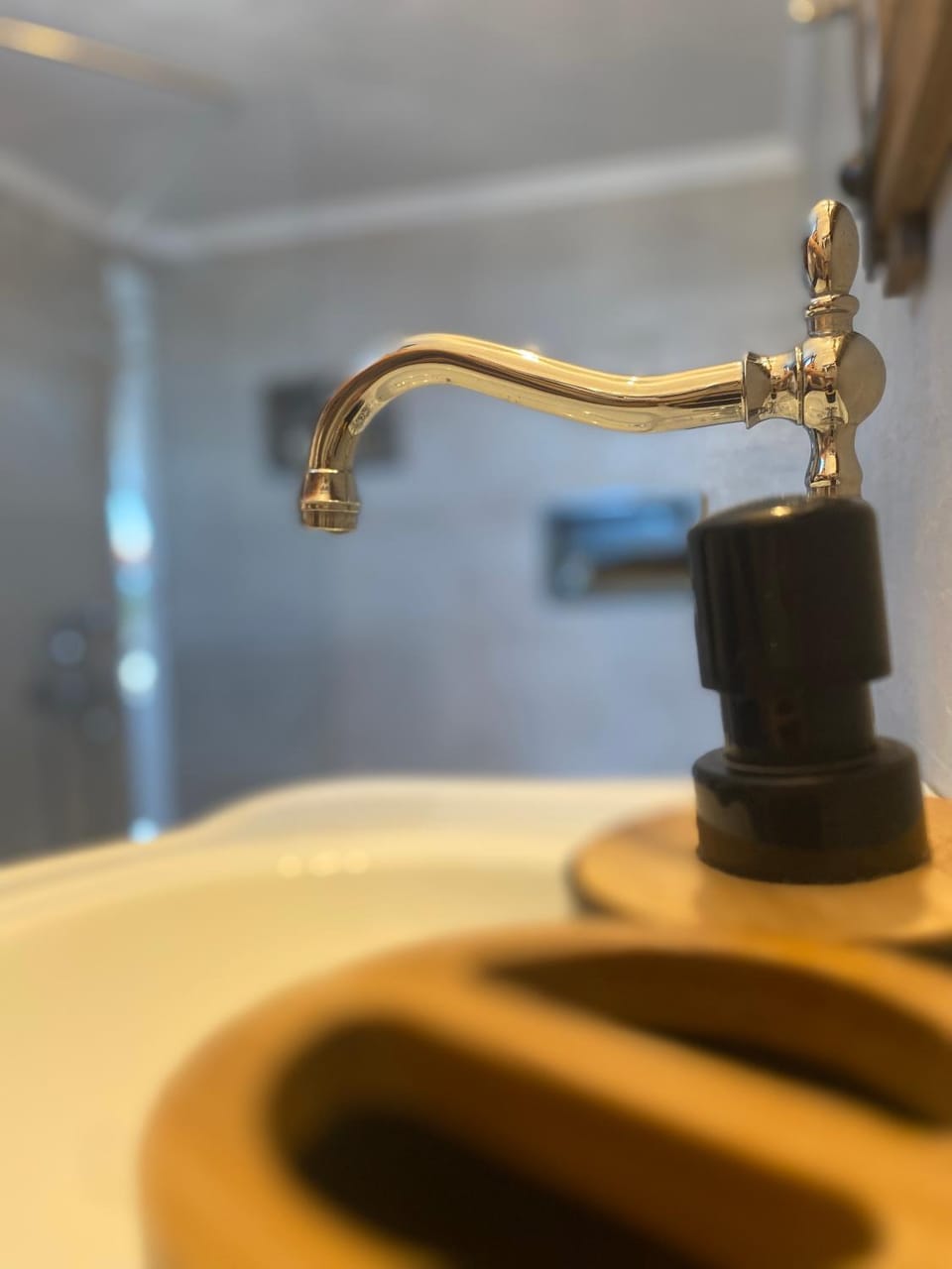 IRENE traditional apartments Apartment hotel in Halkidiki