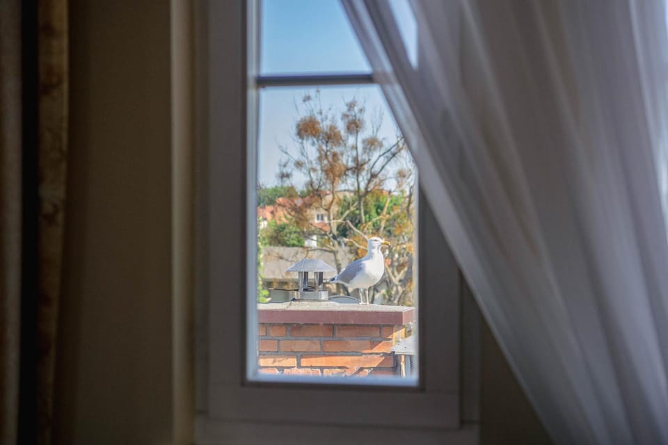 View (from property/room), Animals, Garden view
