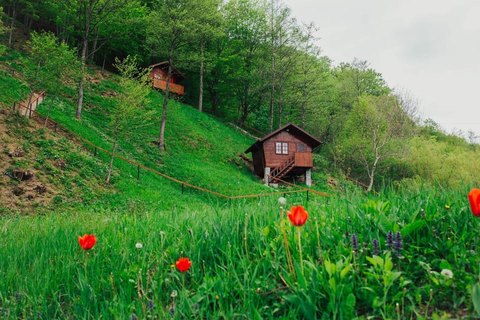 Cabana Bombonel Villa in Prahova, Romania