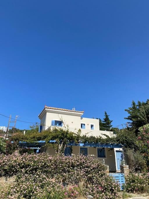 Property building, Garden, Garden view
