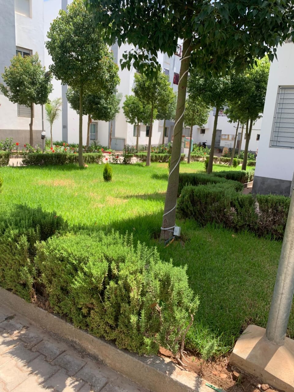 Garden view