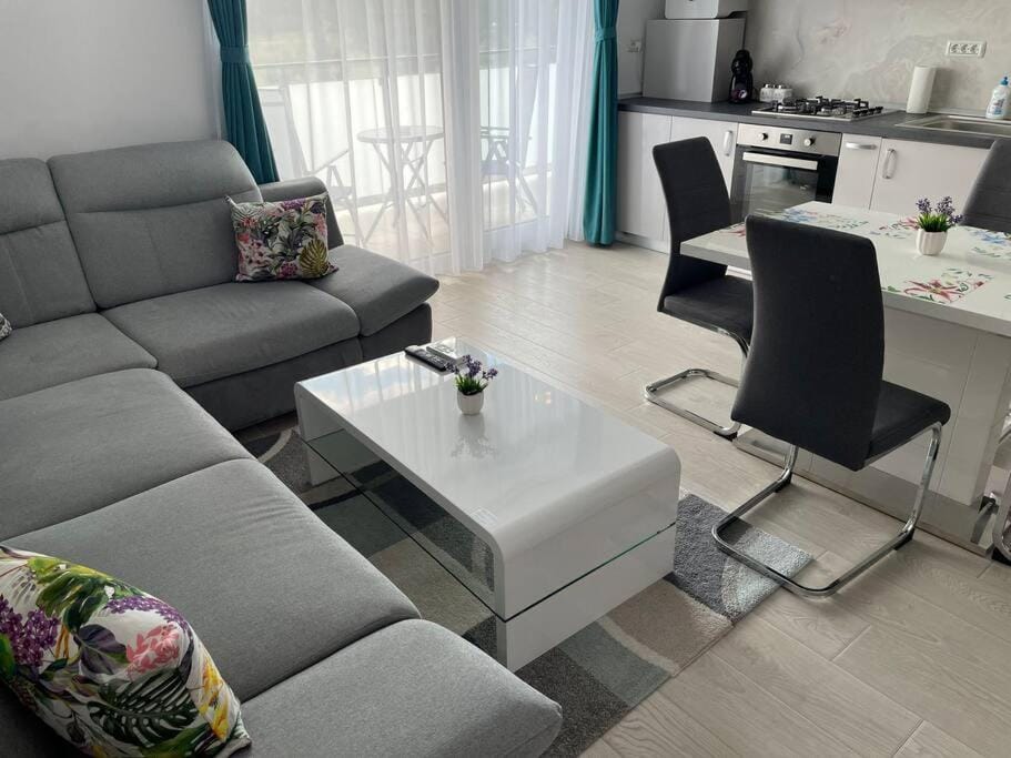 REBREANU RESIDENCE LUX APARTMEN Apartment in Timisoara
