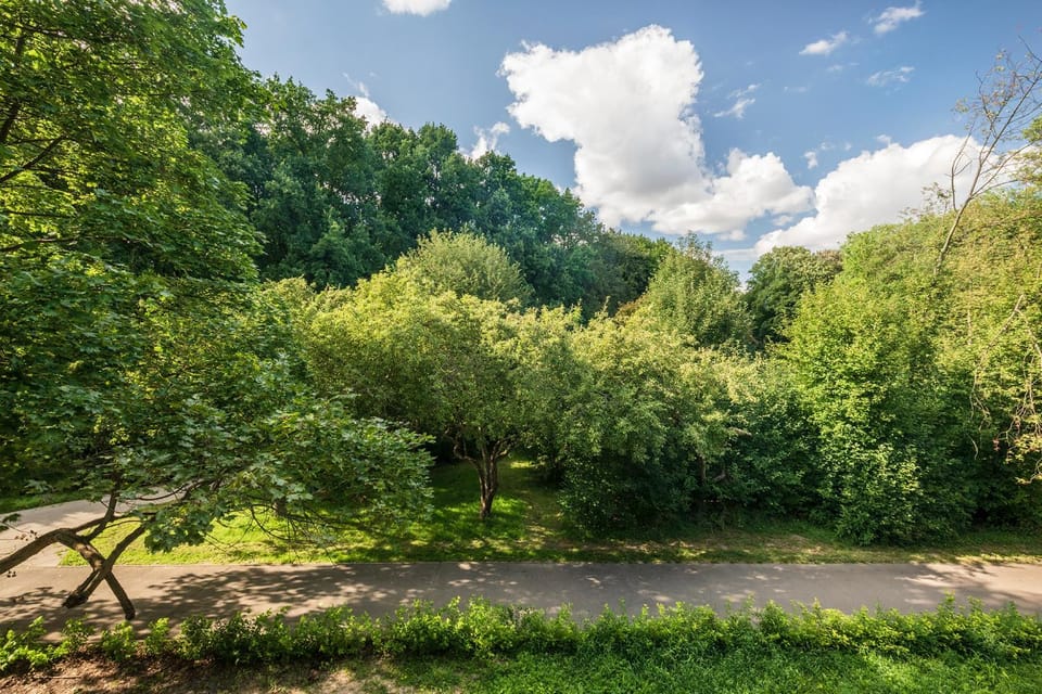 Natural landscape, Garden view