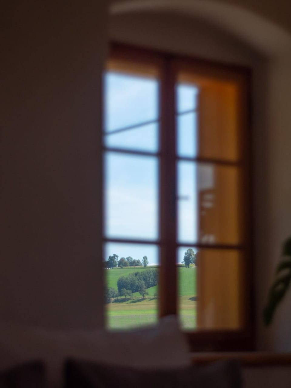 View (from property/room), Decorative detail