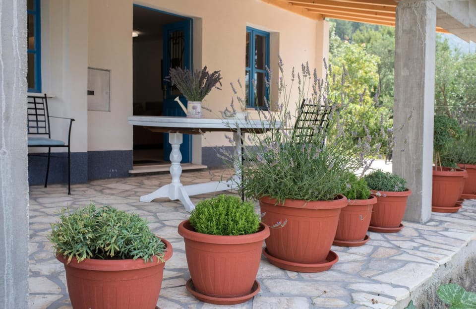 Property building, Patio