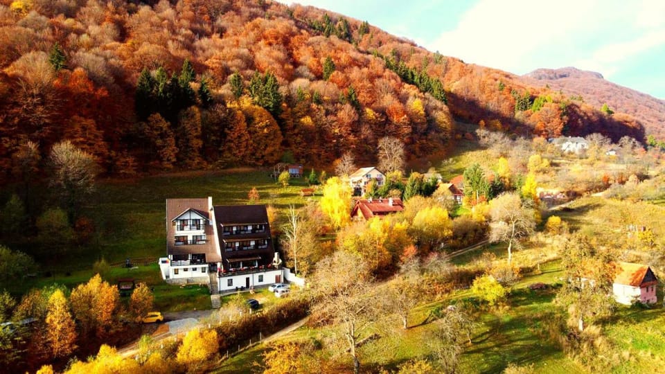 Pensiunea Ursuleț Bran Bed and Breakfast in Bran
