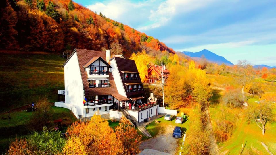 Pensiunea Ursuleț Bran Bed and Breakfast in Bran