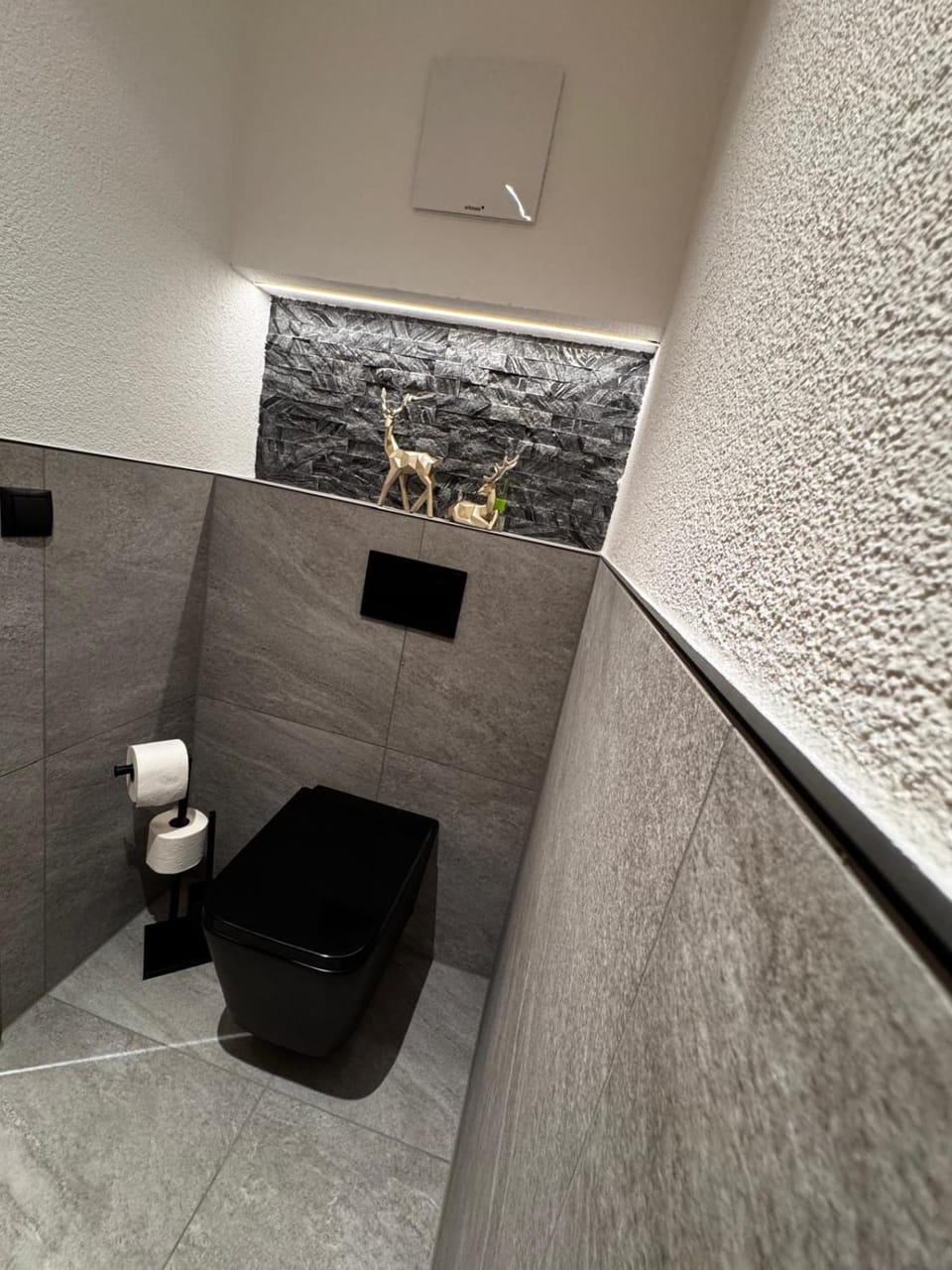 Toilet, Toilet