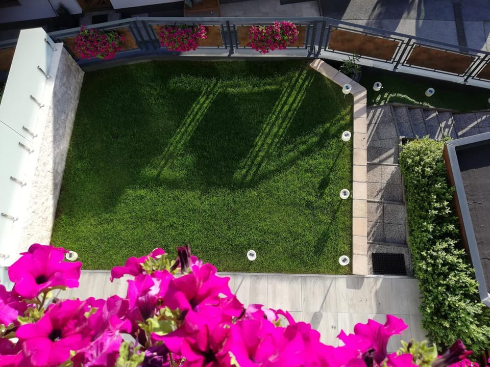 Garden view