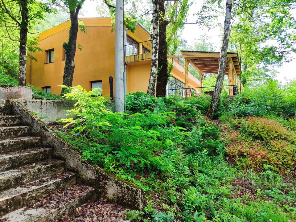 Property building, Spring, Day, Natural landscape, Garden, Garden view