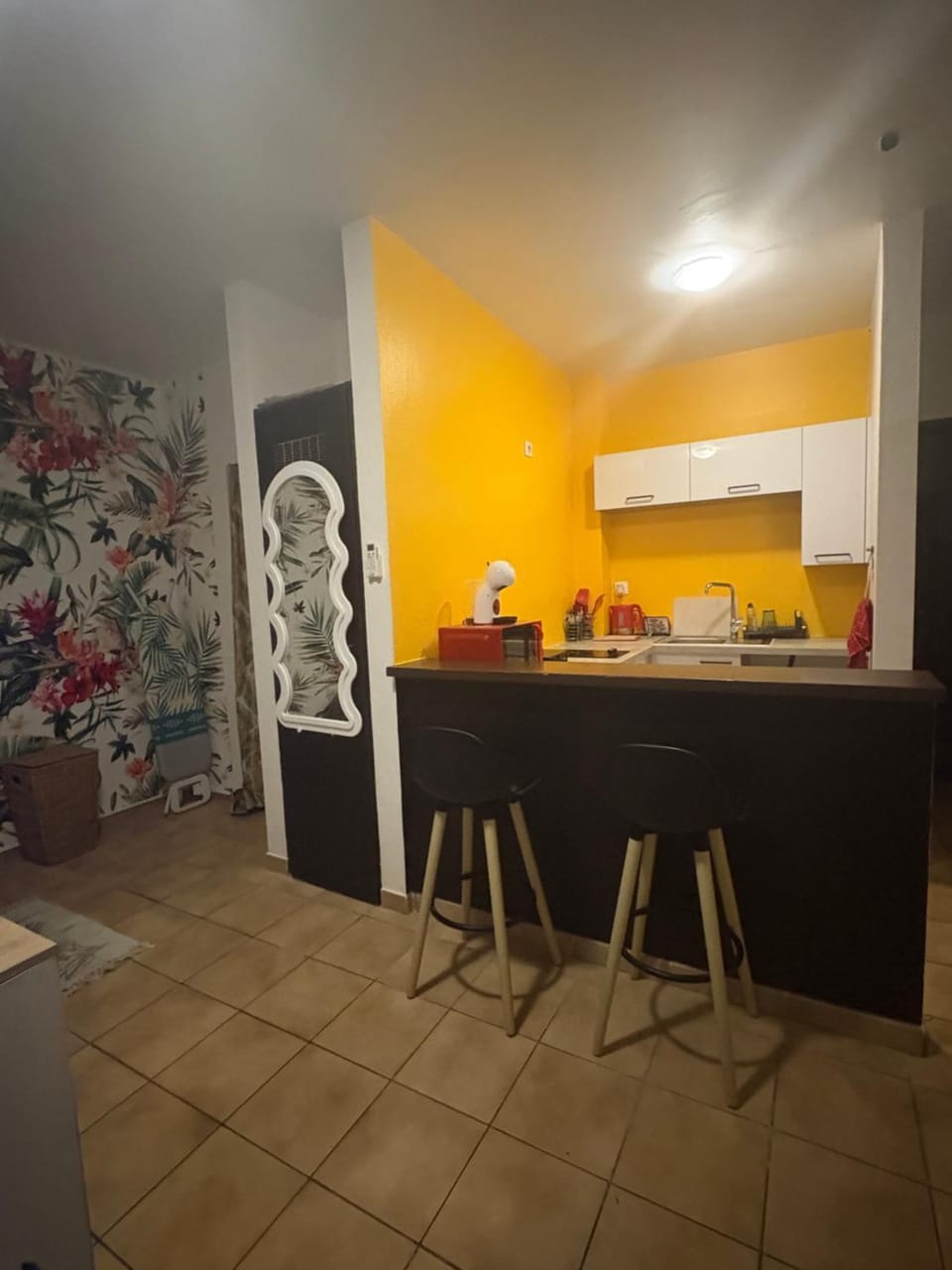 Studio Ça Mconvient Apartment in Cayenne
