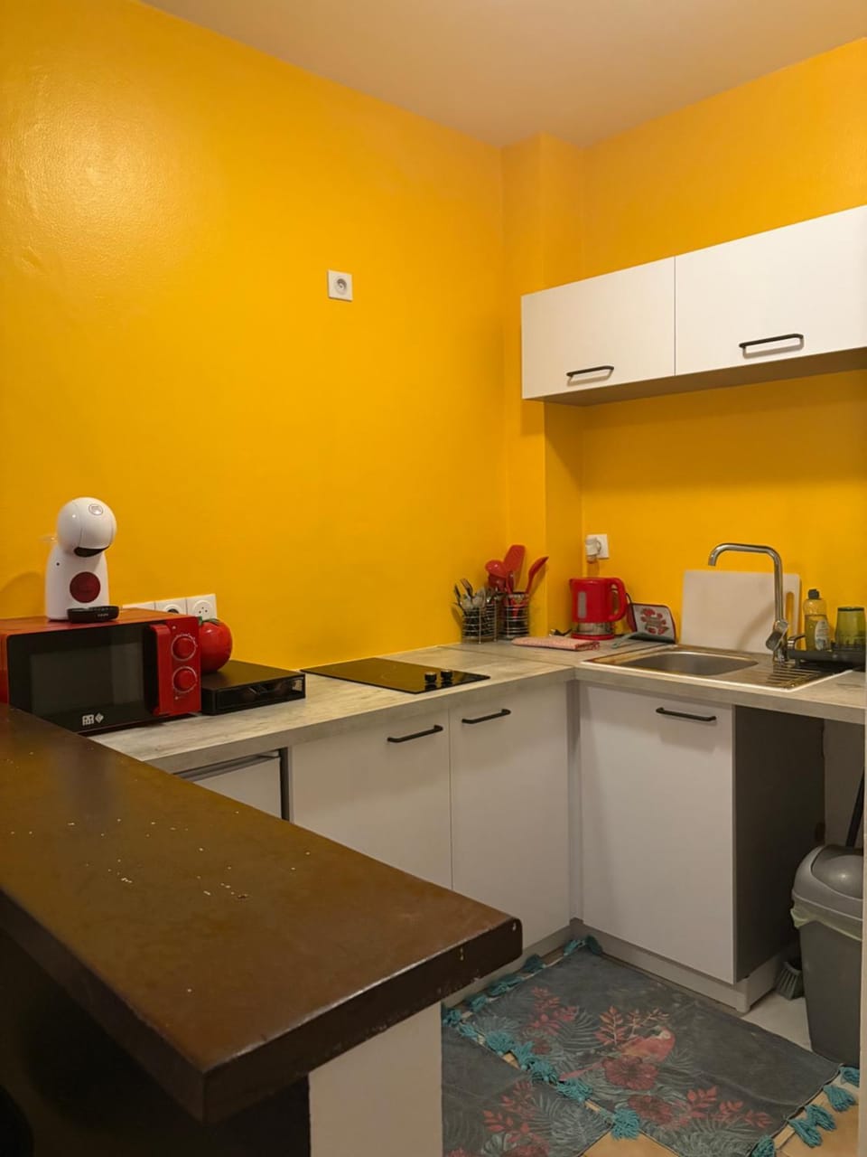 Studio Ça Mconvient Apartment in Cayenne