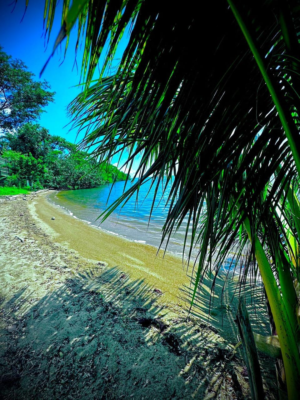 Belize Bay Estate House in Belize