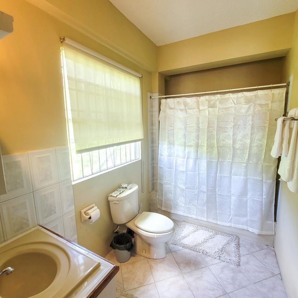 Venance Grand Yer apt 2 Enjoys Sea Views in Rodney Heights Apartment in Caribbean