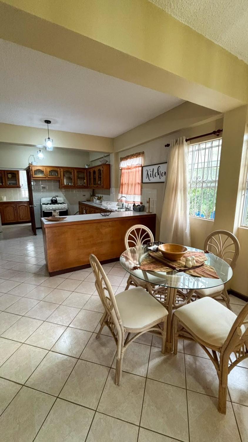 Venance Grand Yer apt 2 Enjoys Sea Views in Rodney Heights Apartment in Caribbean