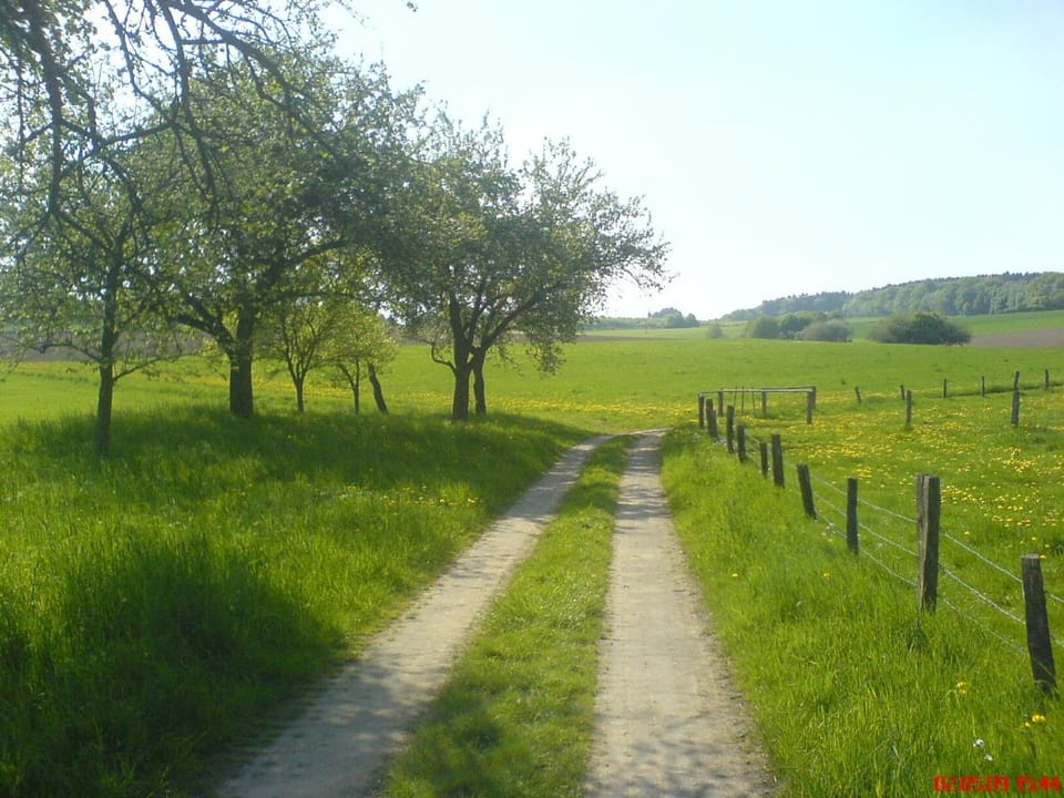 Natural landscape