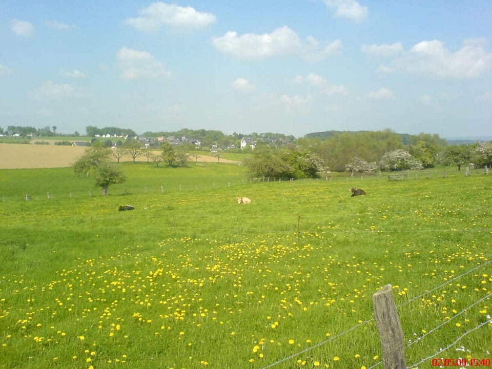 Natural landscape