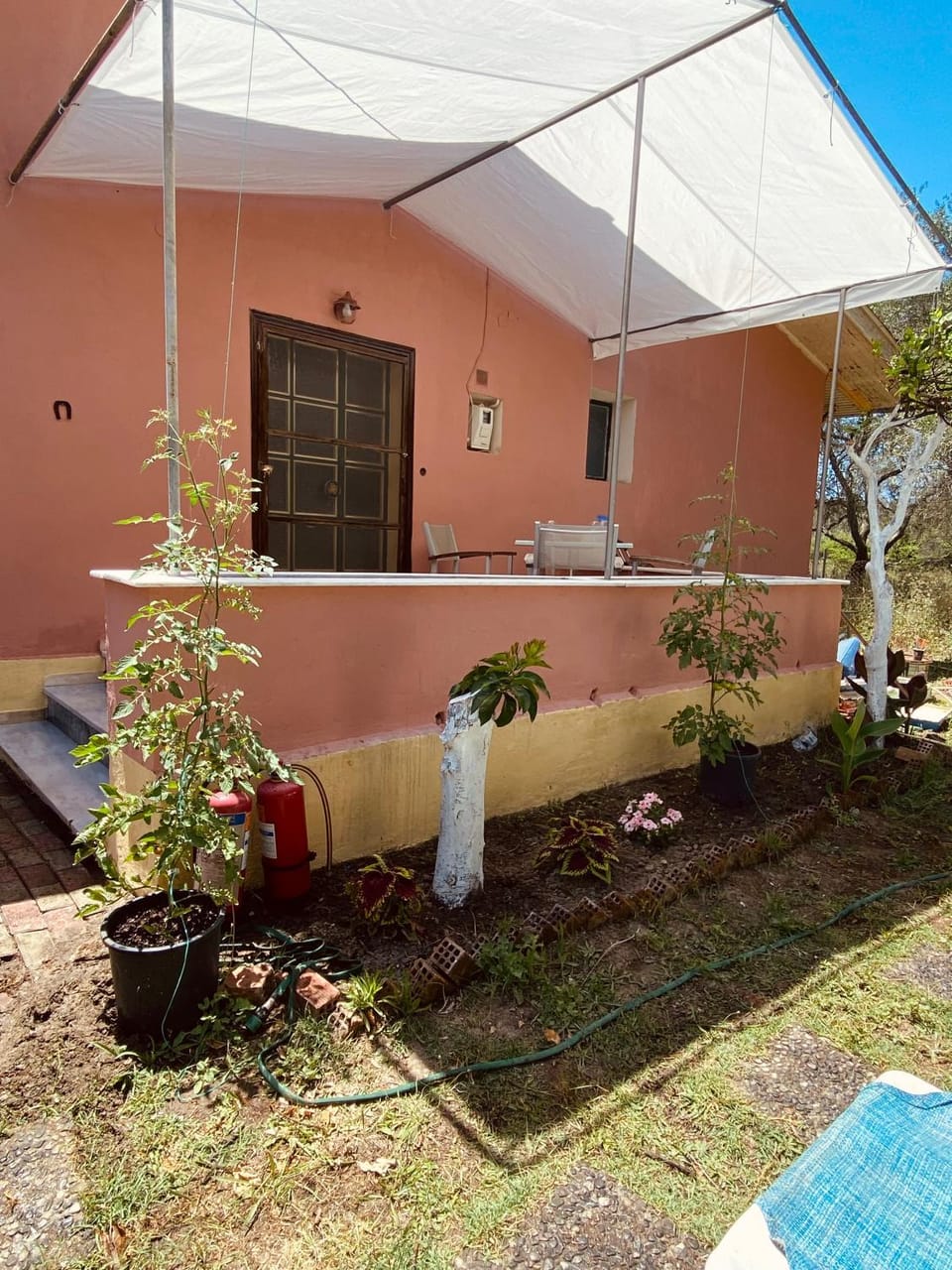 Patio, Facade/entrance, Garden