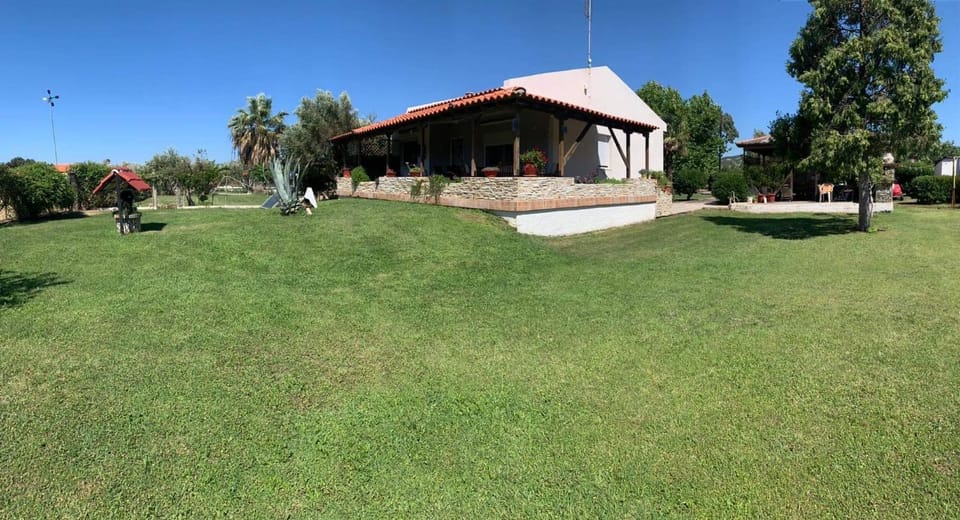 Property building, Garden, Garden view, Inner courtyard view