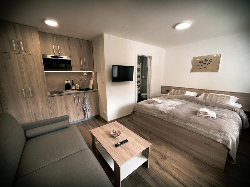 U Králíka, přízemní bezbarierové apartmány A,B,C,D - 50 metrů od vleku - přejdete v lyžácích, pod bobovou dráhou, parkování zdarma, lyžárna s vysoušeči bot, Apartment in Lower Silesian Voivodeship