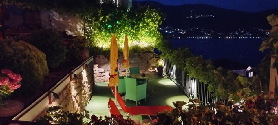 Night, Garden, Garden view