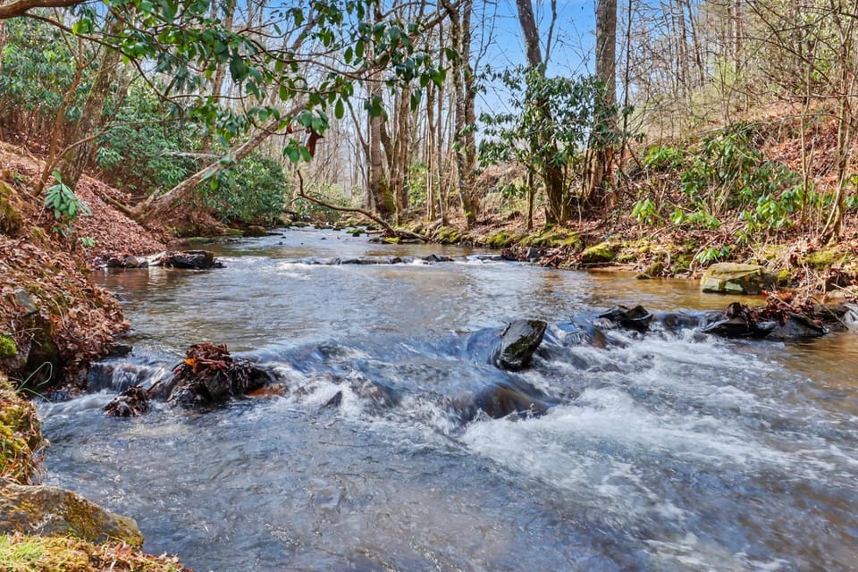 Vintage Luxury Mountain Cabin, Creekside, King Bed, Spa, Fire Pit, Game Room, DogsOk Cabin in Georgia