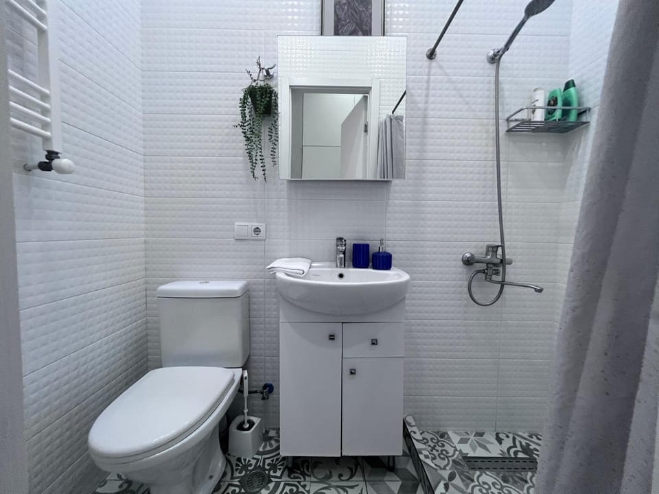 Shower, Toilet