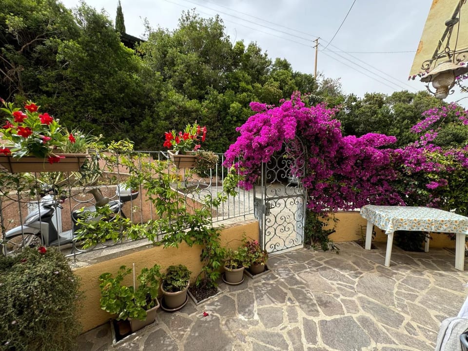 Villino Norsi Apartment in Tuscany