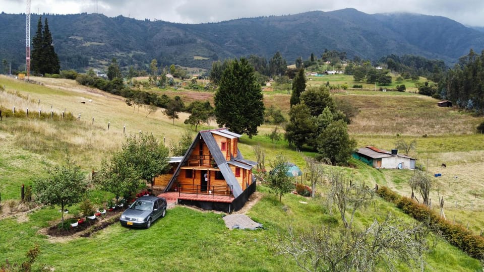 Natural landscape, Garden, Mountain view