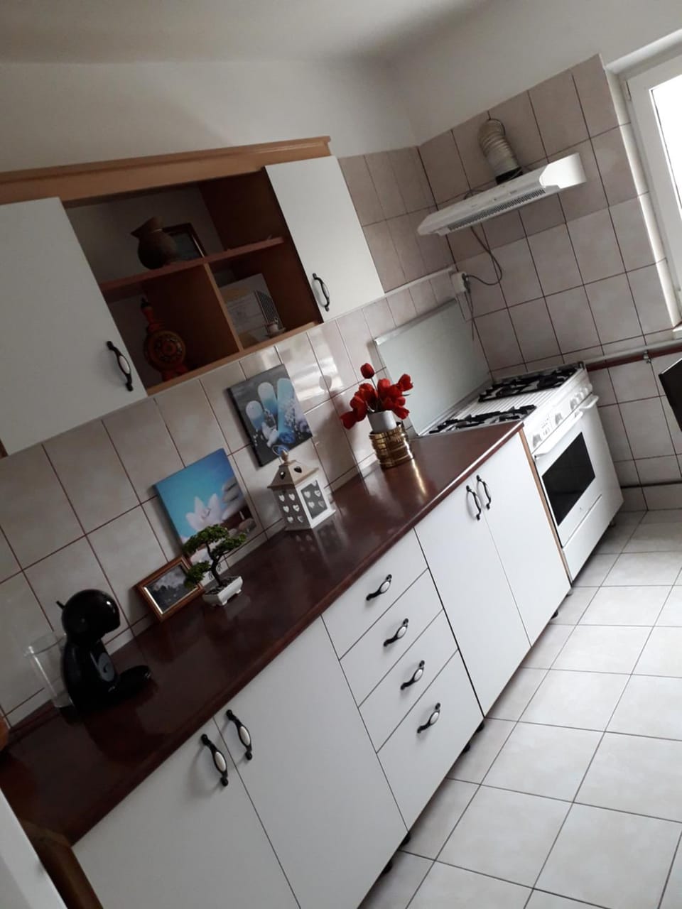 Kitchen or kitchenette, oven, pet friendly, stove