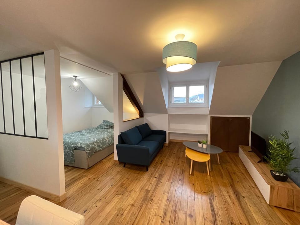 Appartement cosy au coeur d'Espalion Apartment in Espalion