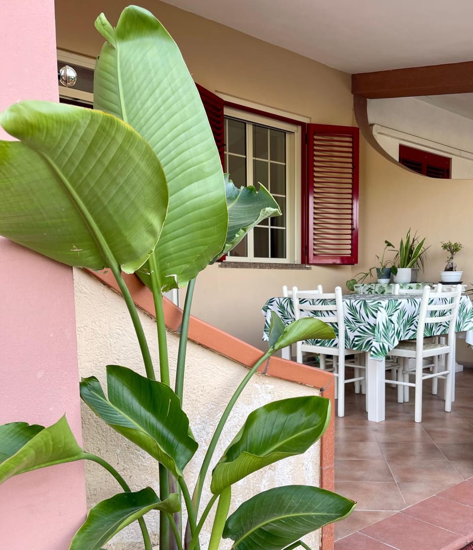 Patio, Facade/entrance