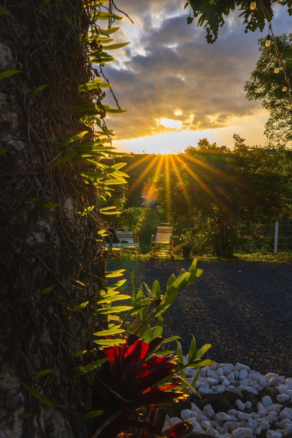 Spring, Day, Natural landscape, Garden, Garden view, Sunrise, Sunset