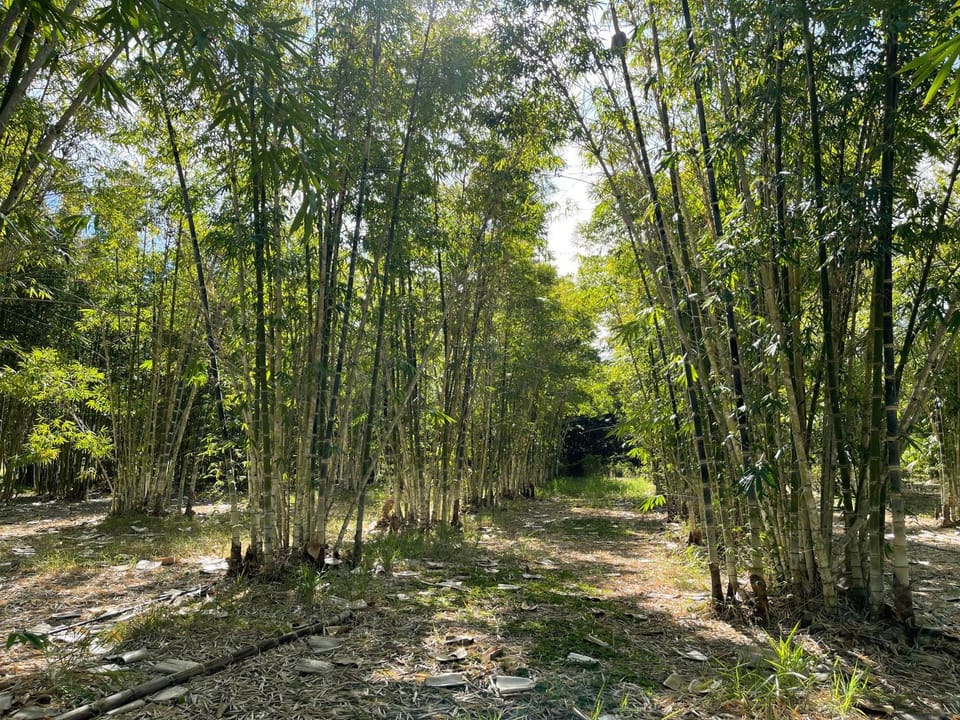 GSM Bamboo Farm RV and Caravan site Campground/ 
RV Resort in Queensland