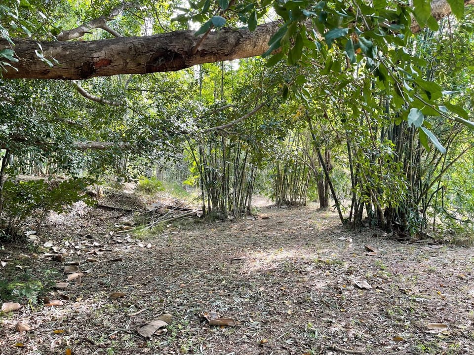 GSM Bamboo Farm RV and Caravan site Campground/ 
RV Resort in Queensland
