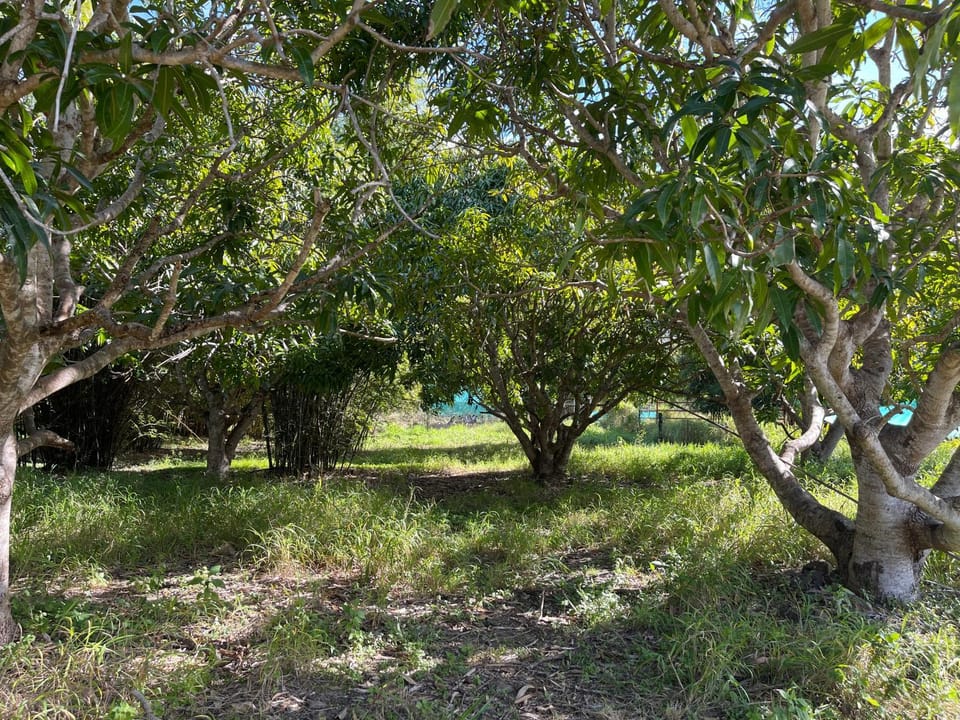 GSM Bamboo Farm RV and Caravan site Campground/ 
RV Resort in Queensland