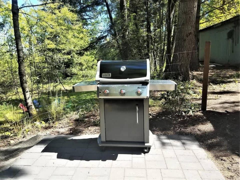 PA West Side Paradise House in Port Angeles